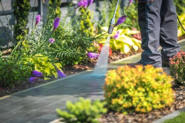 Best Restaurant Pressure Washing  in Little Falls, NY