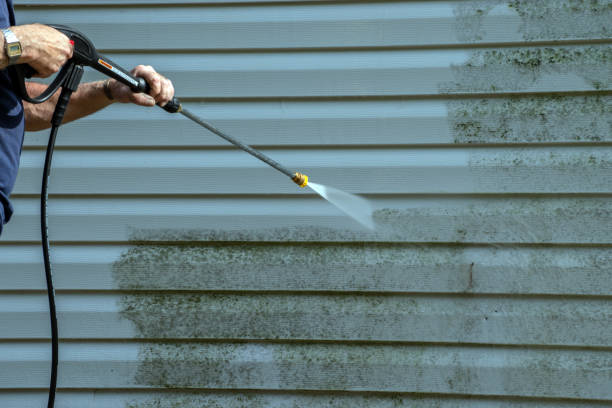 Best Gutter Cleaning  in Little Falls, NY