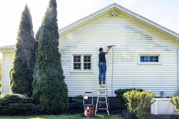 Best Paint Preparation  in Little Falls, NY